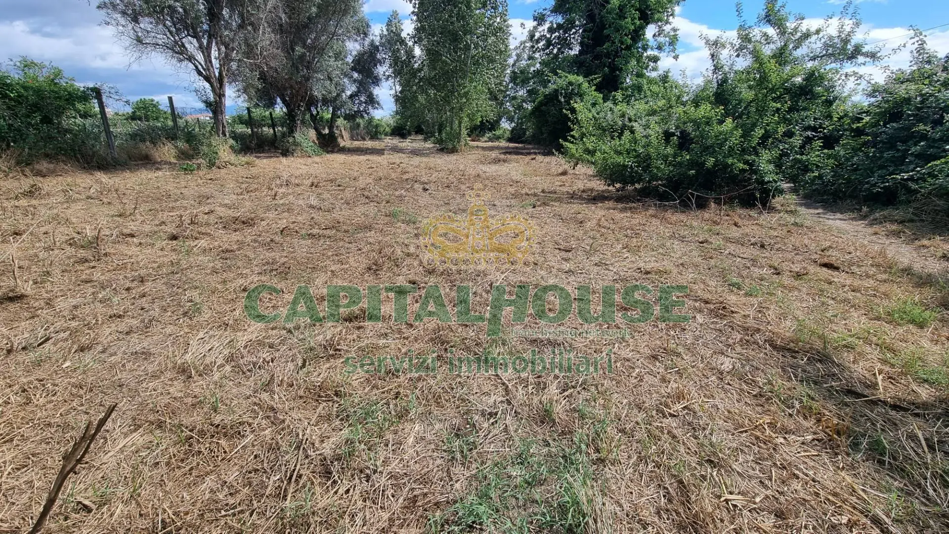 Immagine per Terreno Agricolo in vendita a San Marco Evangelista  