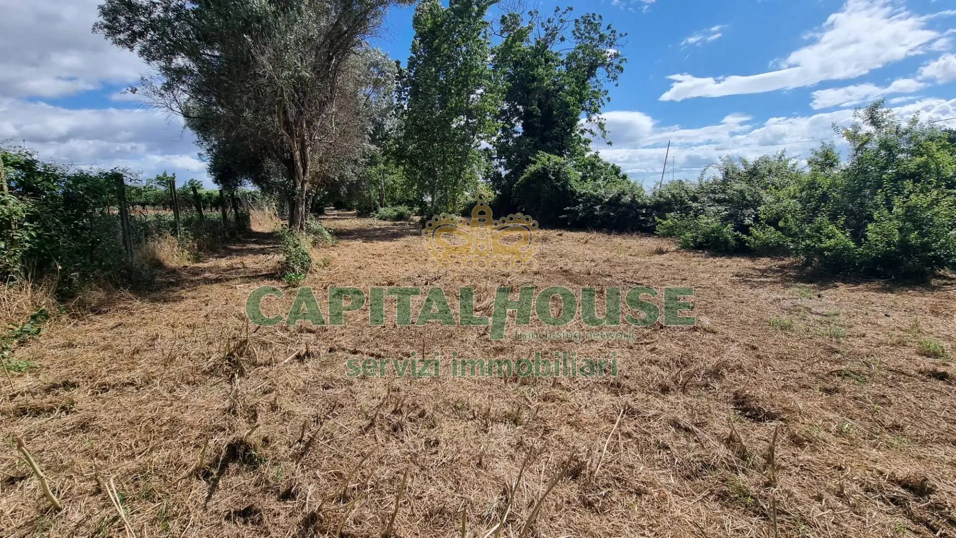 Immagine per Terreno Agricolo in vendita a San Marco Evangelista  