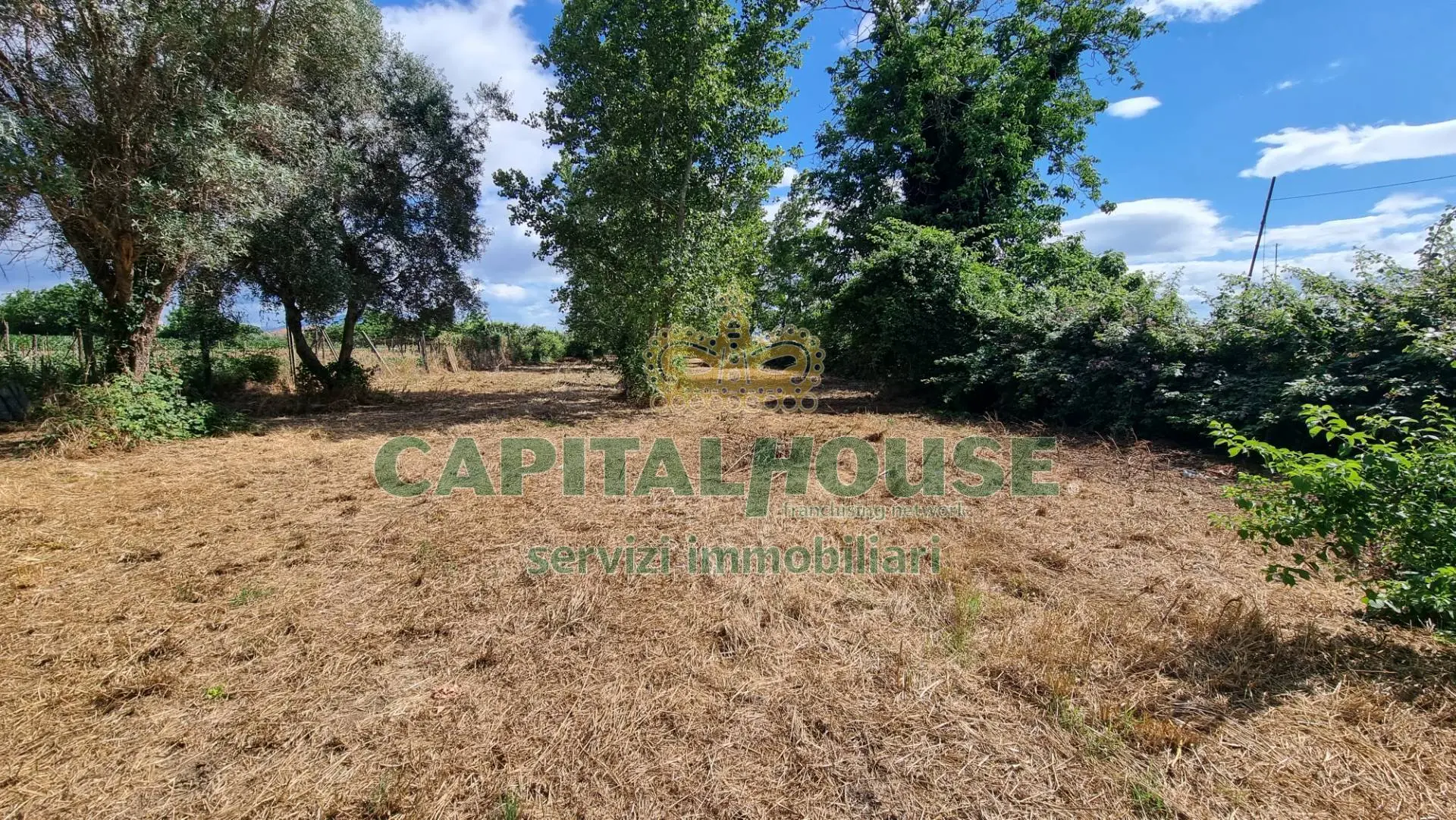 Immagine per Terreno Agricolo in vendita a San Marco Evangelista  