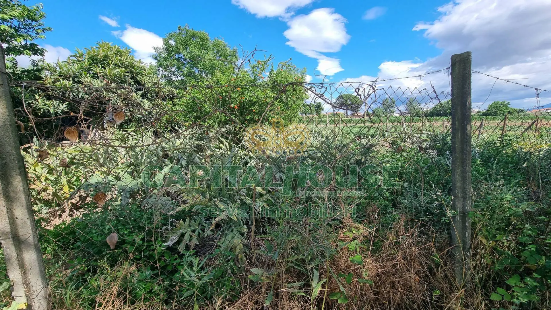 Immagine per Terreno Agricolo in vendita a San Marco Evangelista  