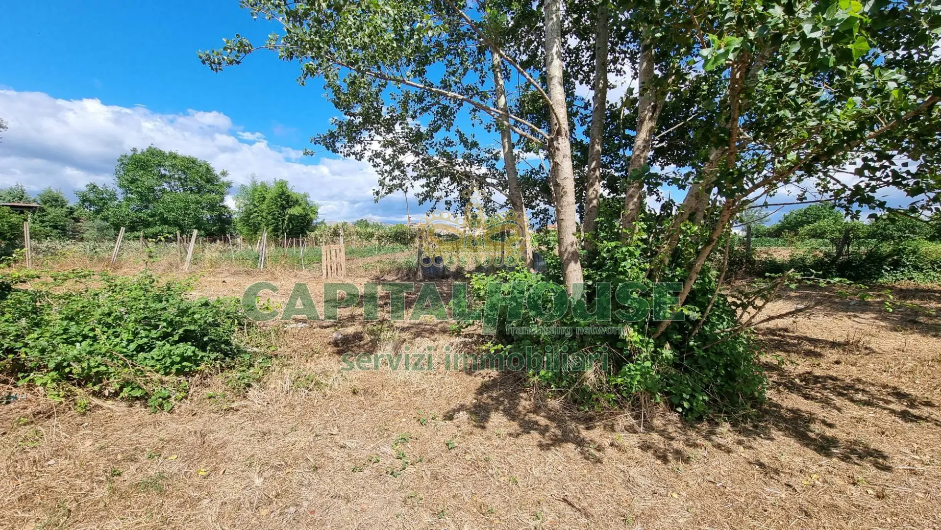 Immagine per Terreno Agricolo in vendita a San Marco Evangelista  