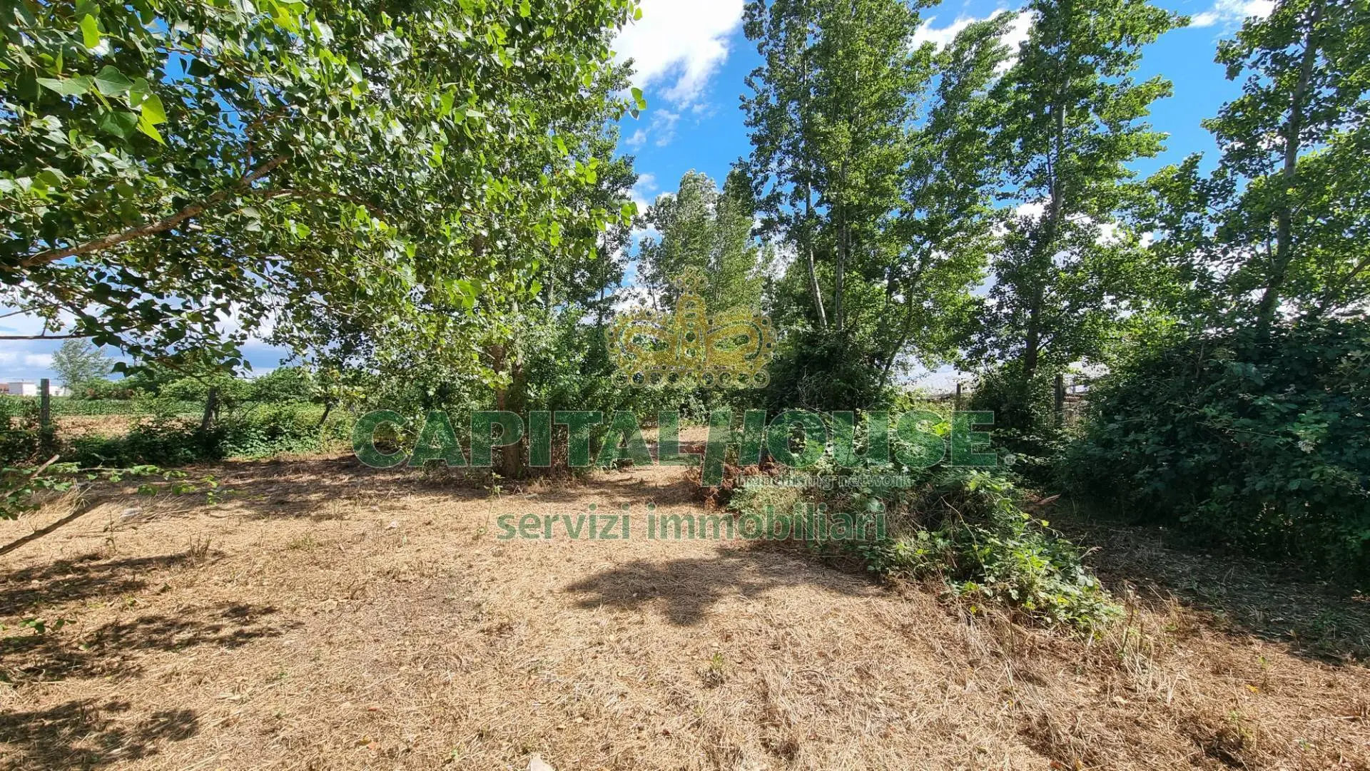 Immagine per Terreno Agricolo in vendita a San Marco Evangelista  
