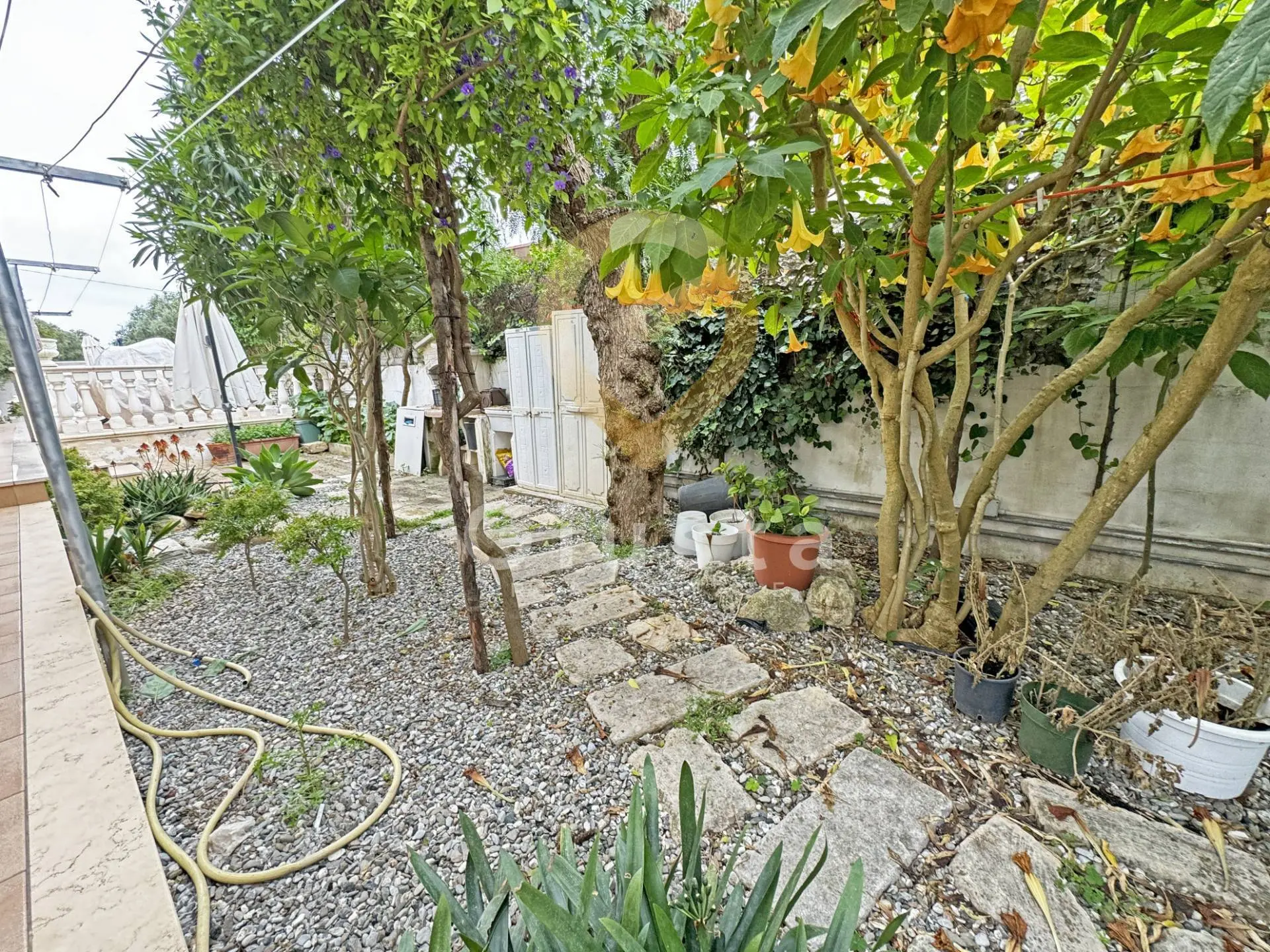 Immagine per Villa in vendita a Pulsano Via Gramsci 26