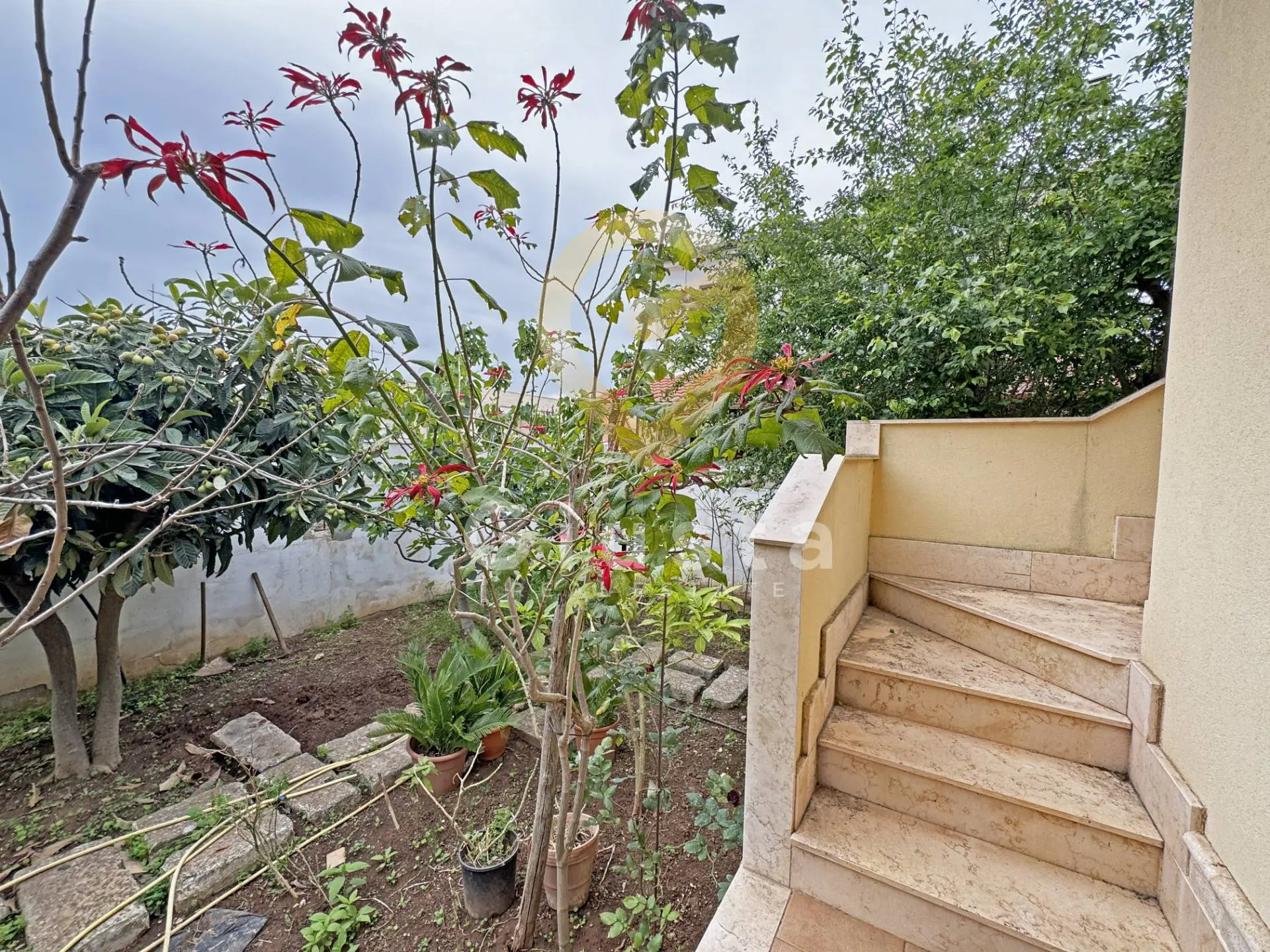 Immagine per Villa in vendita a Pulsano Via Gramsci 26