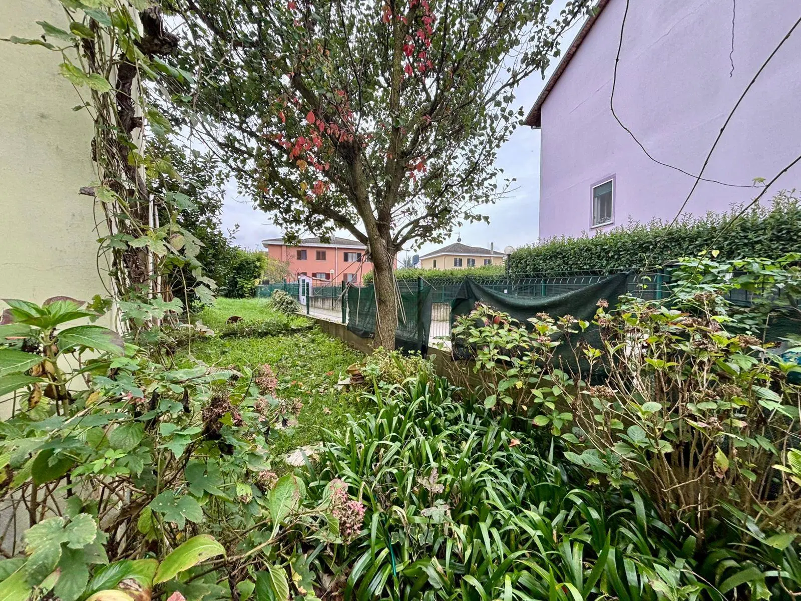 Immagine per Villetta a schiera in vendita a Alessandria  