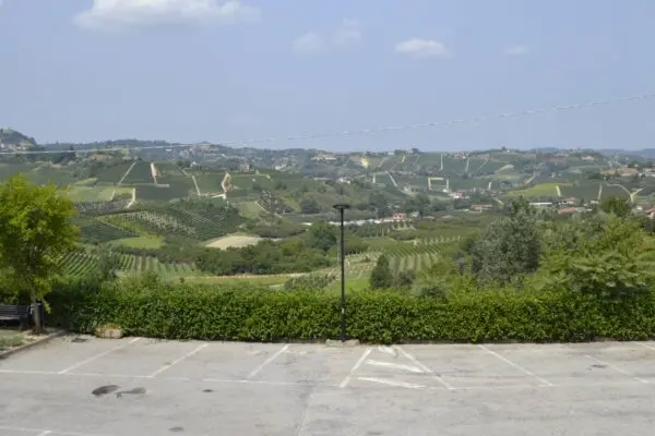 Attività Commerciale via San Rocco Di Montaldo Roero 1, Vezza D'Alba