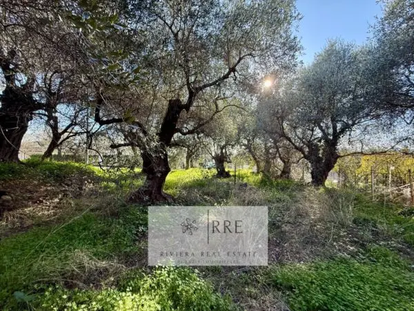 Villa via Monade, Diano San Pietro