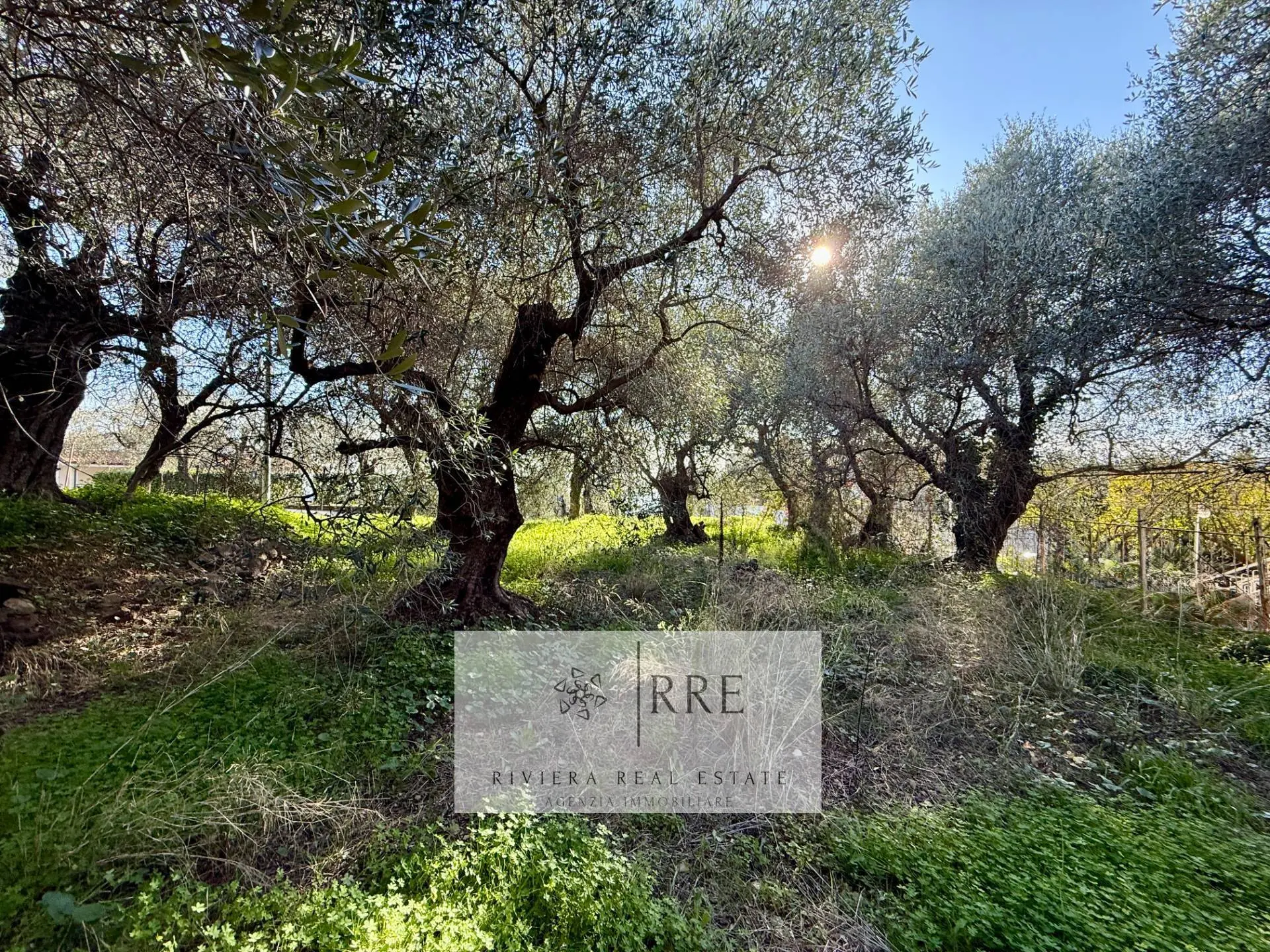 Immagine per Villa in vendita a Diano San Pietro via Monade 