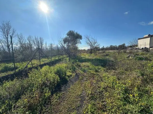 Terreno Agricolo via Vicinale Mauro Vecchio, Massa Di Somma