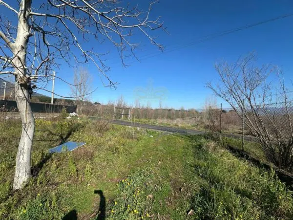 Terreno Agricolo via Vicinale Mauro Vecchio, Massa Di Somma