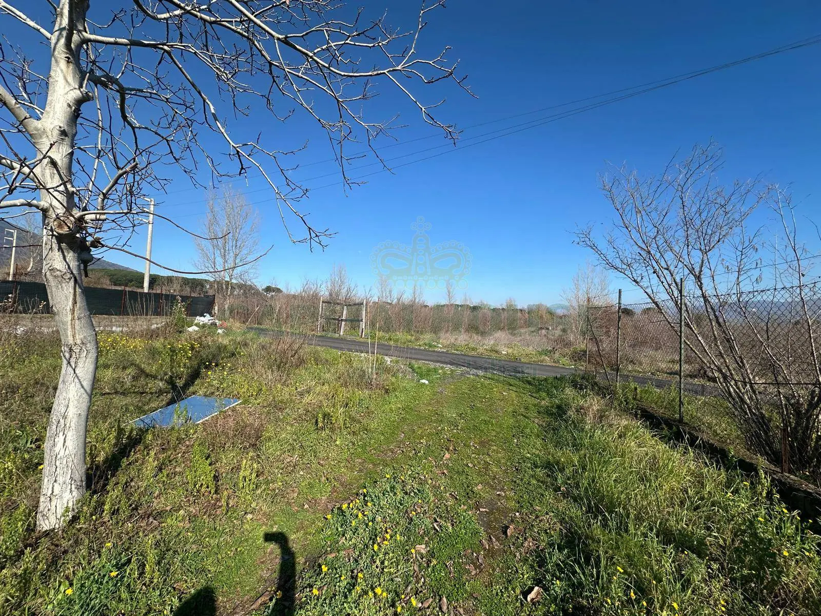 Immagine per Terreno Agricolo in vendita a Massa di Somma via Vicinale Mauro Vecchio 