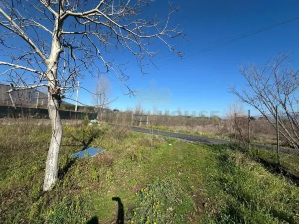 Terreno Agricolo via Vicinale Mauro Vecchio, Massa Di Somma