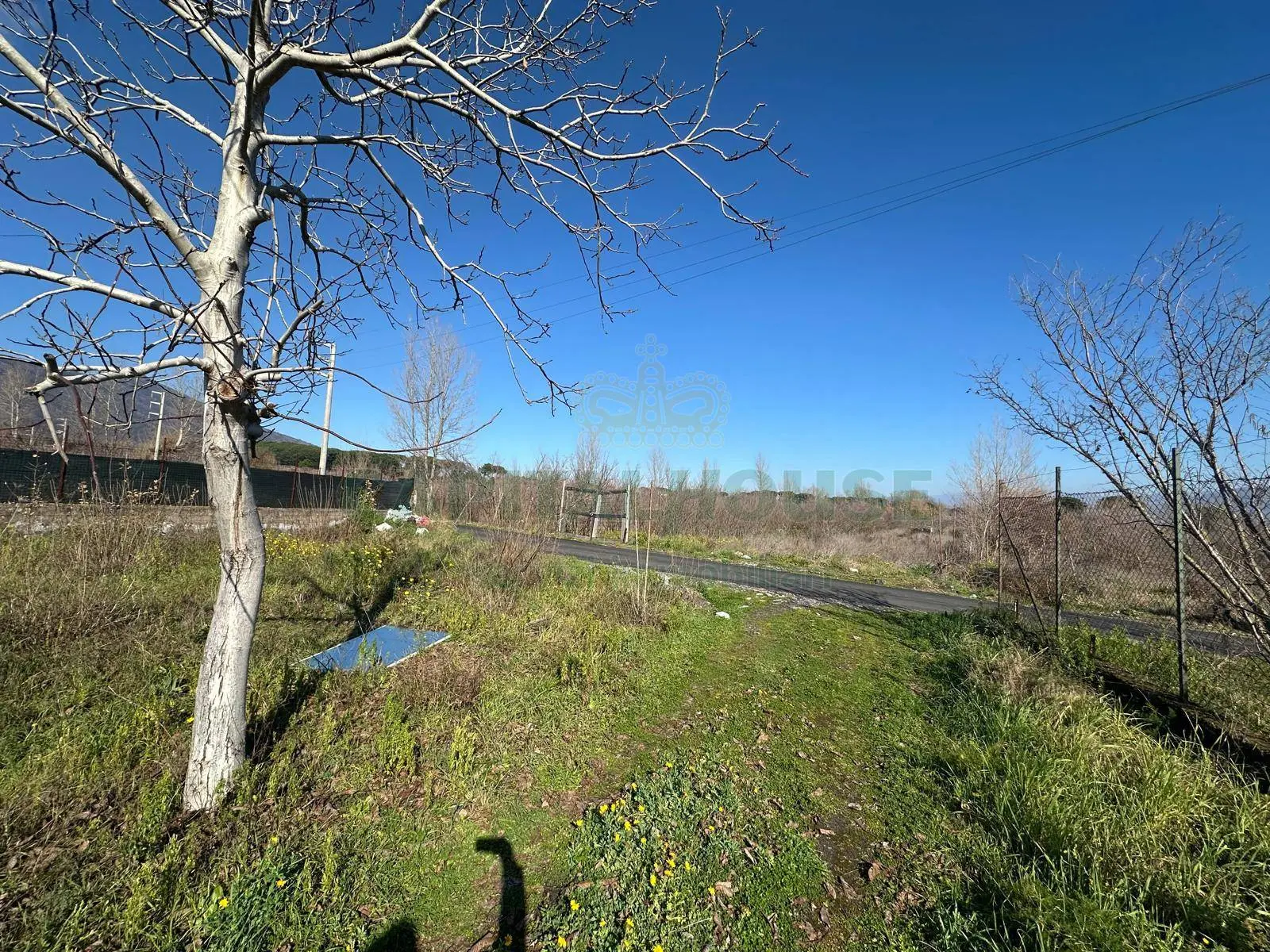 Immagine per Terreno Agricolo in vendita a Massa di Somma via Vicinale Mauro Vecchio 