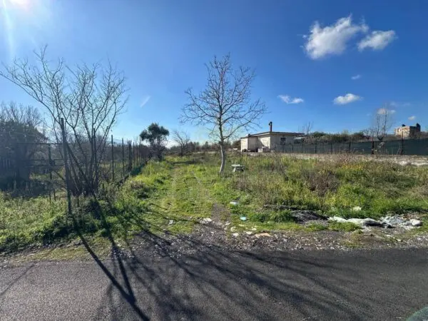 Terreno Agricolo via Vicinale Mauro Vecchio, Massa Di Somma
