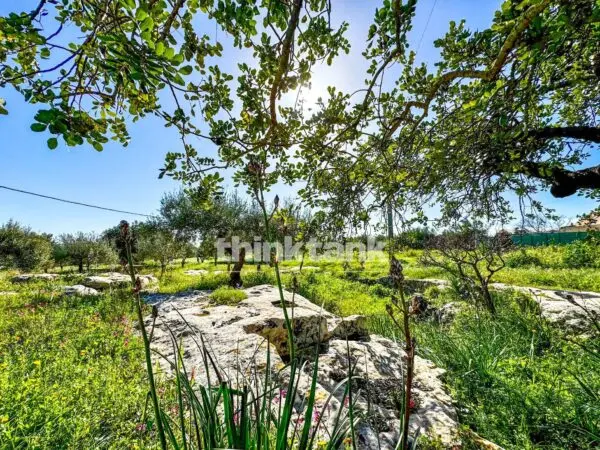 Villa via Sp 64, Noto