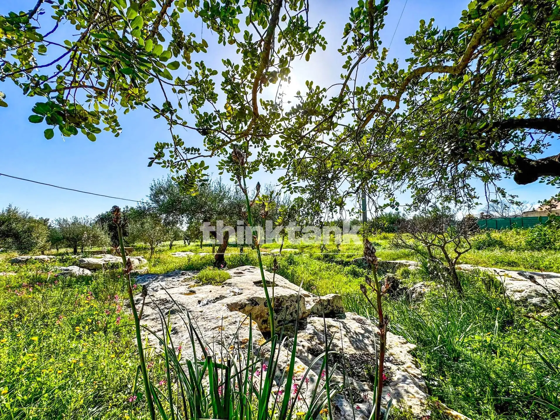 Immagine per Villa in vendita a Noto SP 64 