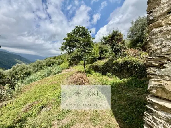 Rustico/Casale Case Soprane Fraz. Acquetico, Vessalico