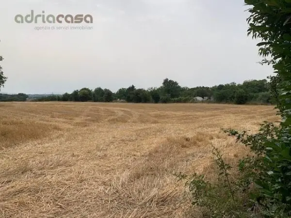 Terreno Agricolo via Ponte Conca, Misano Adriatico