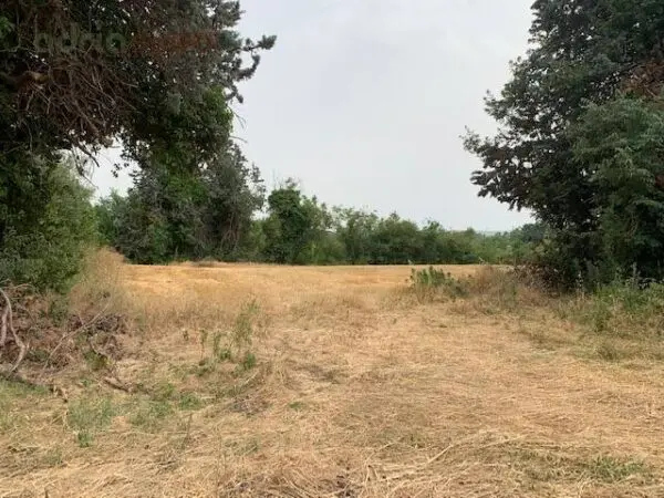 Terreno Agricolo via Ponte Conca, Misano Adriatico