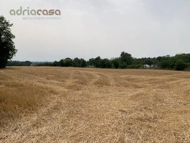 Immagine per Terreno Agricolo in vendita a Misano Adriatico Via Ponte Conca 