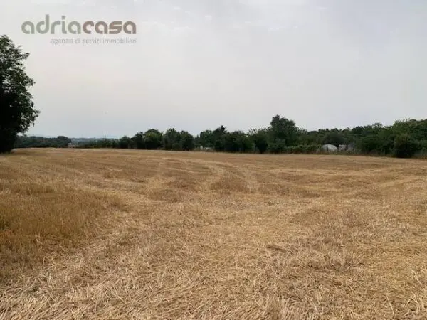 Terreno Agricolo via Ponte Conca, Misano Adriatico
