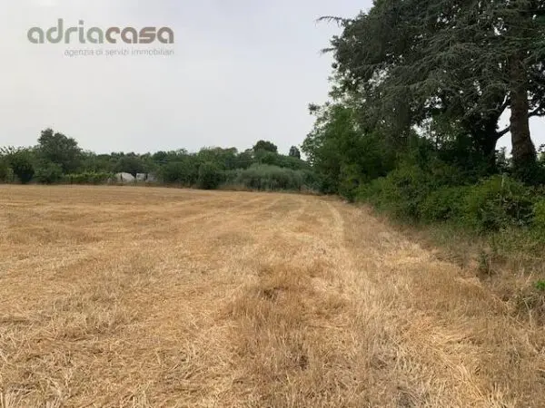 Terreno Agricolo via Ponte Conca, Misano Adriatico