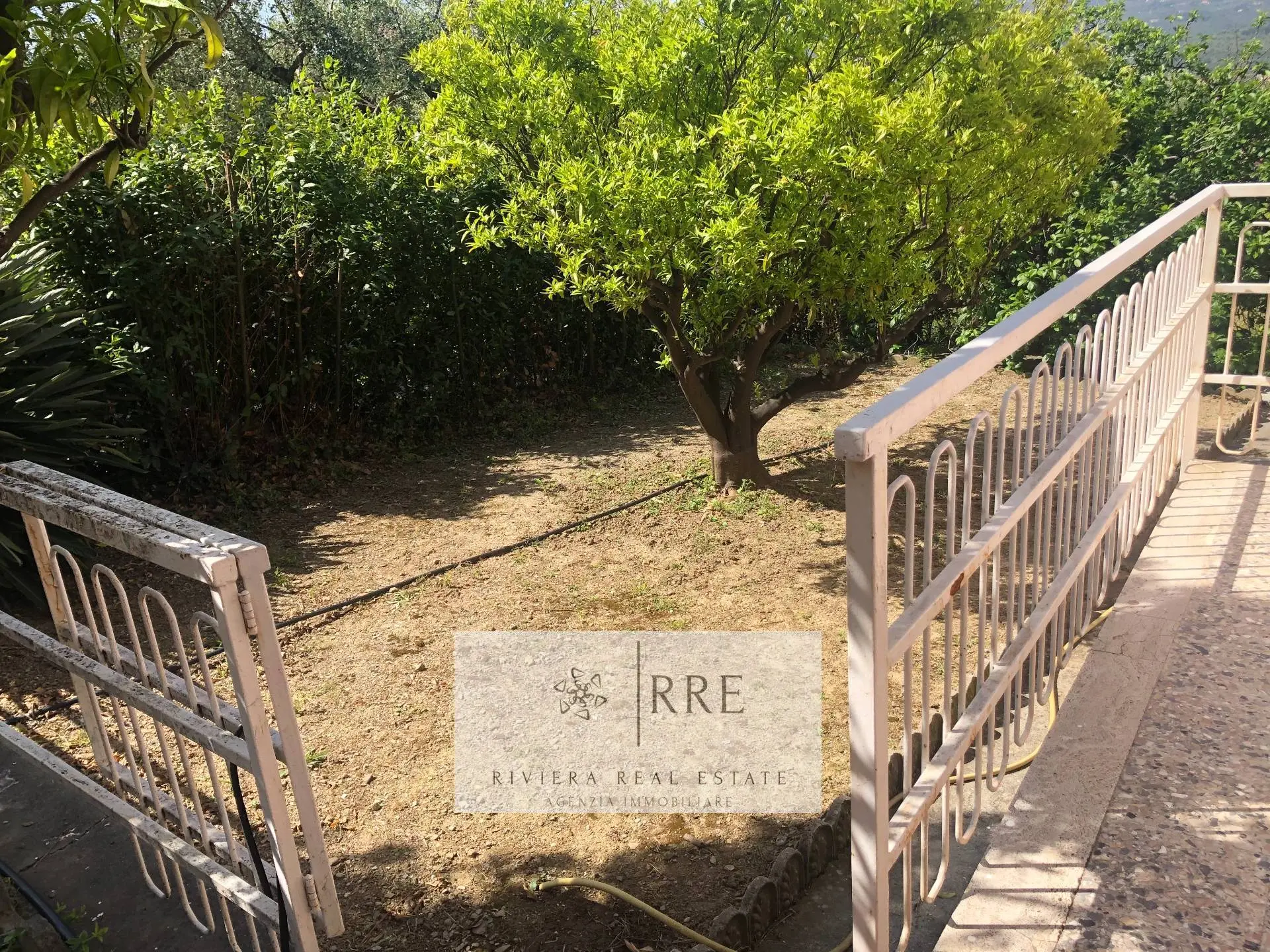 Immagine per Villa in vendita a Diano San Pietro via Monade 