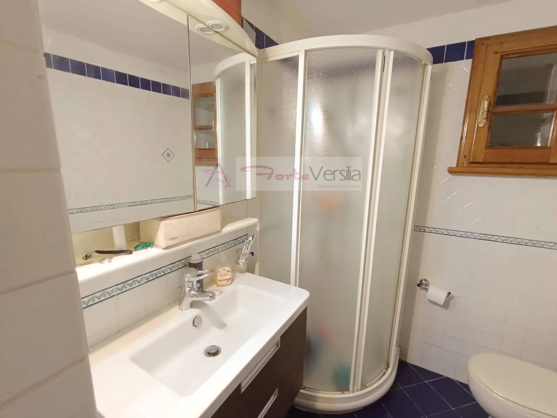 Immagine per Casa Semindipendente in vendita a Seravezza  