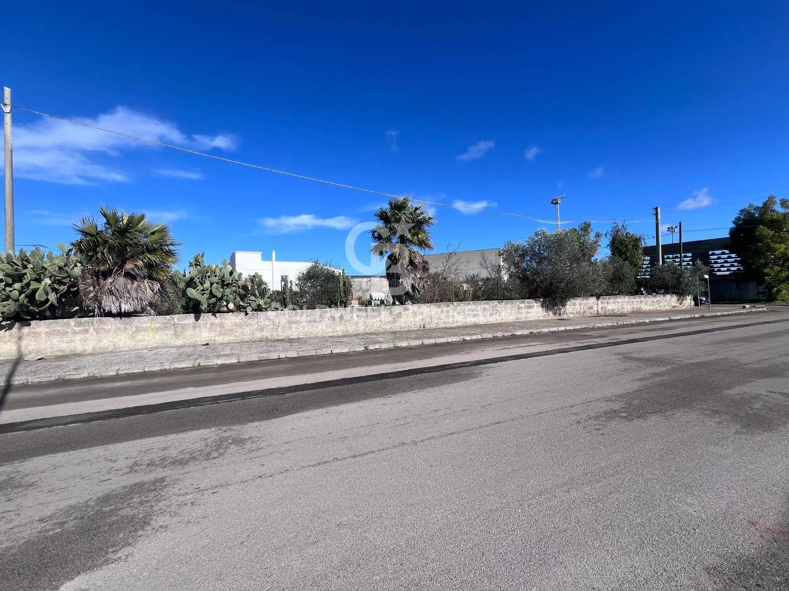 Immagine per Terreno Edificabile in vendita a Porto Cesareo Via Picasso 