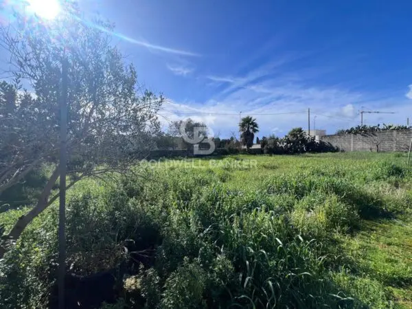 Terreno Edificabile via Picasso, Porto Cesareo