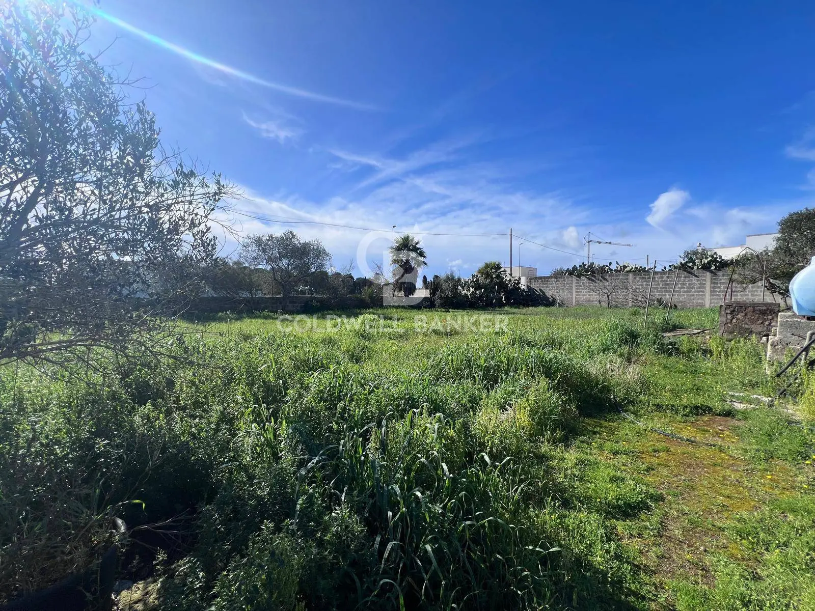 Immagine per Terreno Edificabile in vendita a Porto Cesareo Via Picasso 