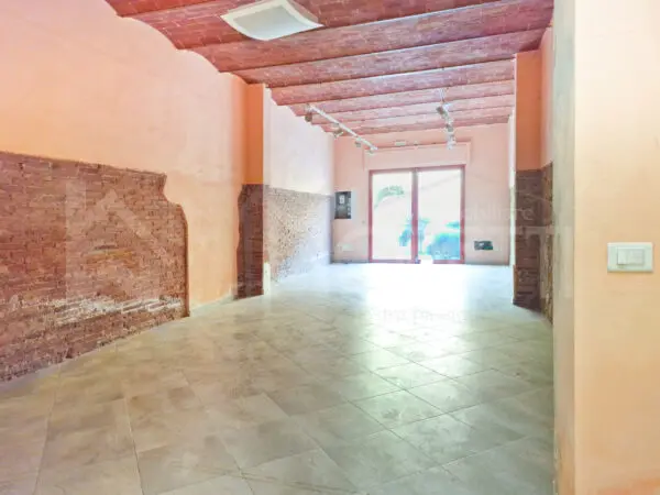 Capannone via Roma, Collesalvetti