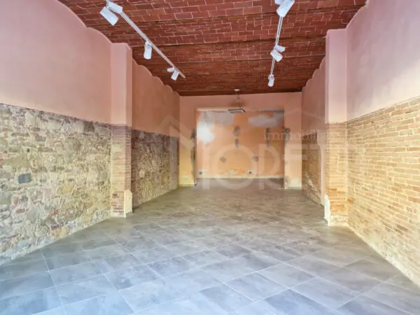 Capannone via Roma, Collesalvetti