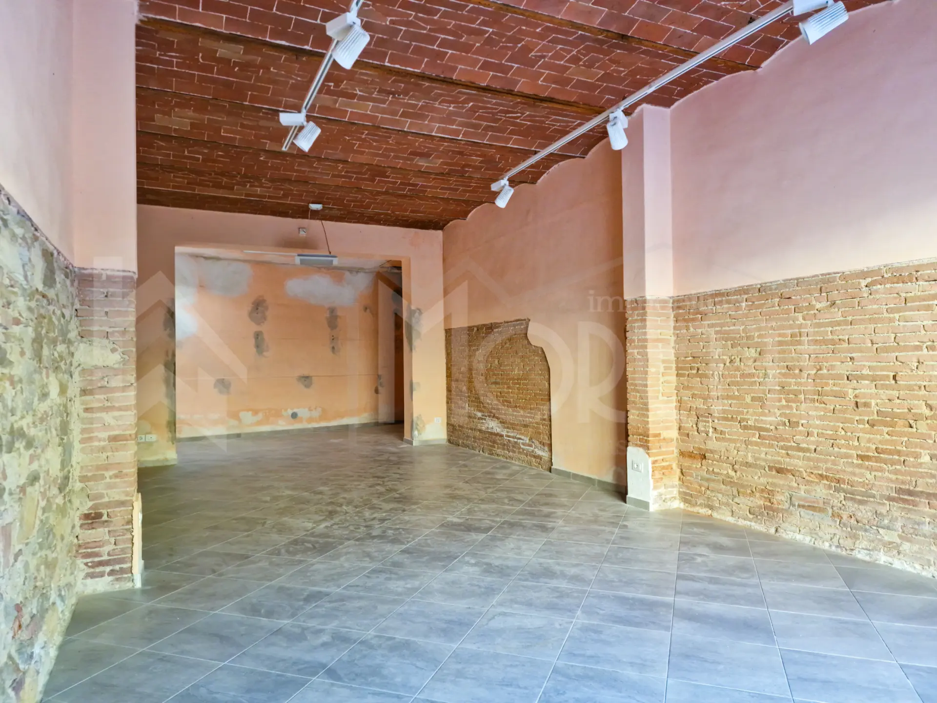 Immagine per Capannone in affitto a Collesalvetti via Roma
