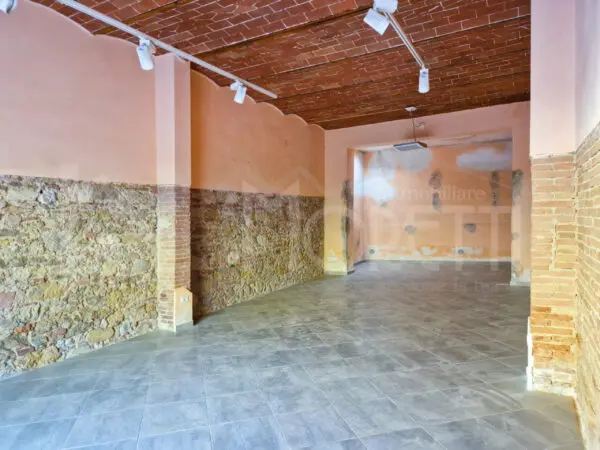 Capannone via Roma, Collesalvetti