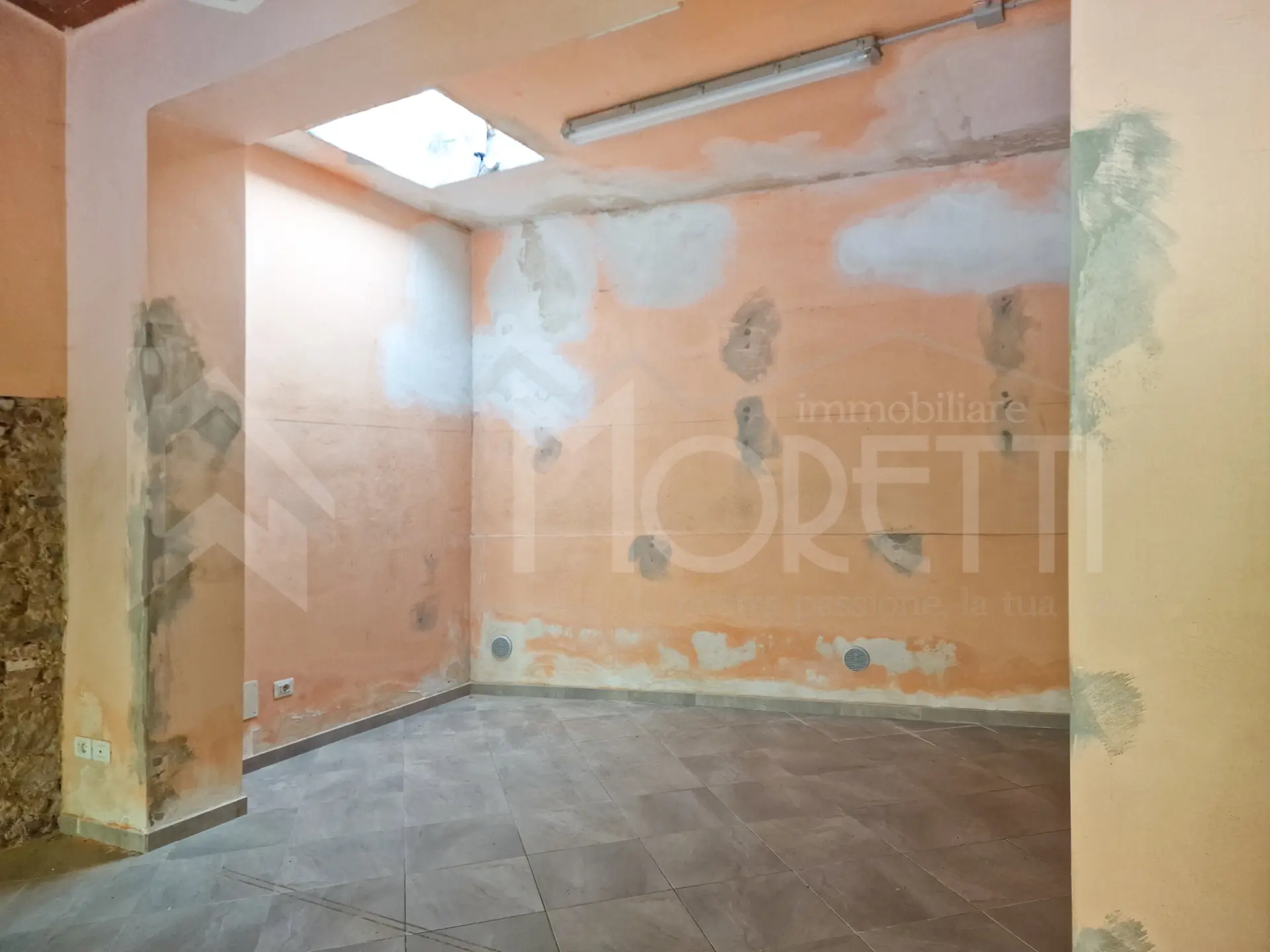 Immagine per Capannone in affitto a Collesalvetti via Roma