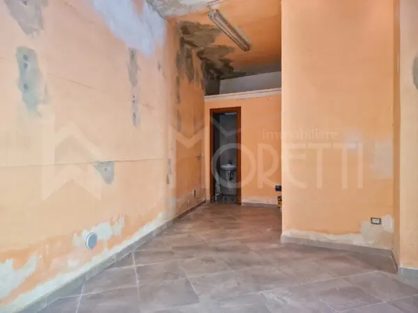 Capannone via Roma, Collesalvetti