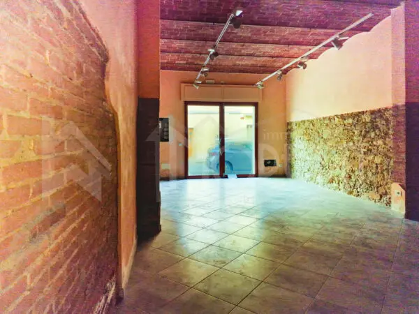 Immagine per Capannone in affitto a Collesalvetti via Roma