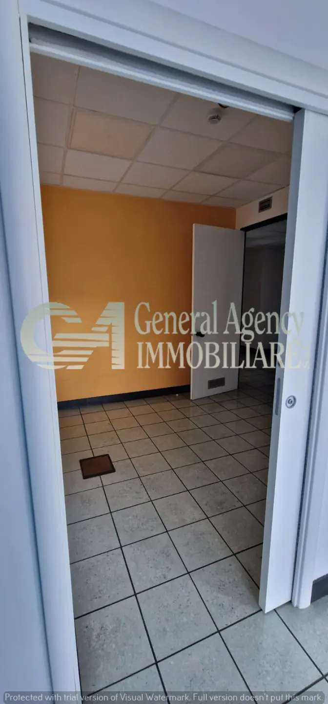Immagine per Area verde in affitto a Roma piazzale Giulio Douhet 25