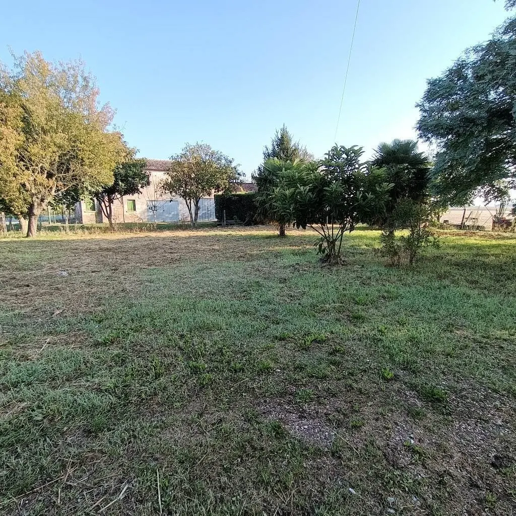 Immagine per Villa in vendita a Crespino via Arginello