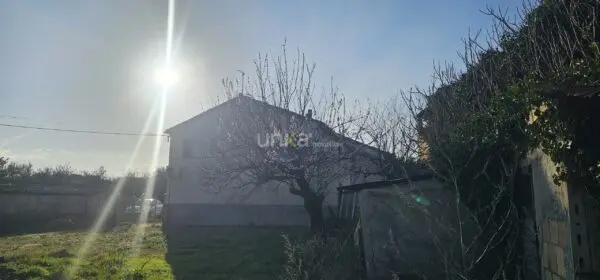 Villa Trifamiliare via San Martino 7, Monsano