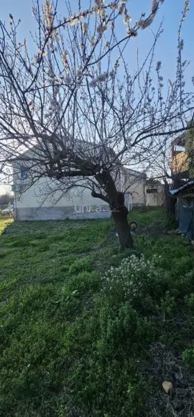Villa Trifamiliare via San Martino 7, Monsano