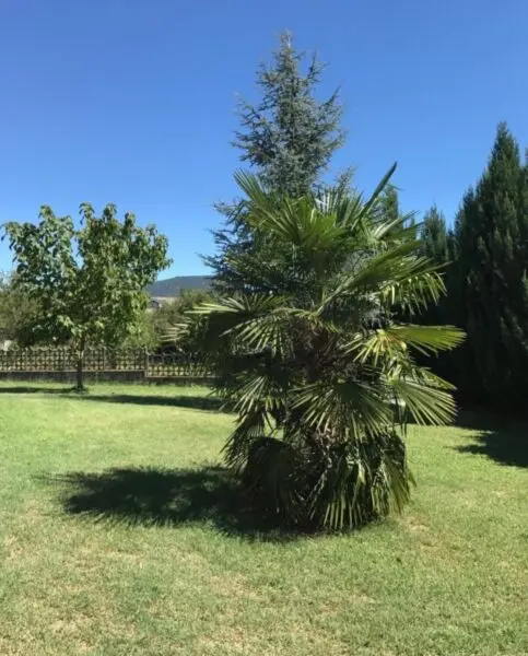 Villa via Provinciale 252, Cumiana
