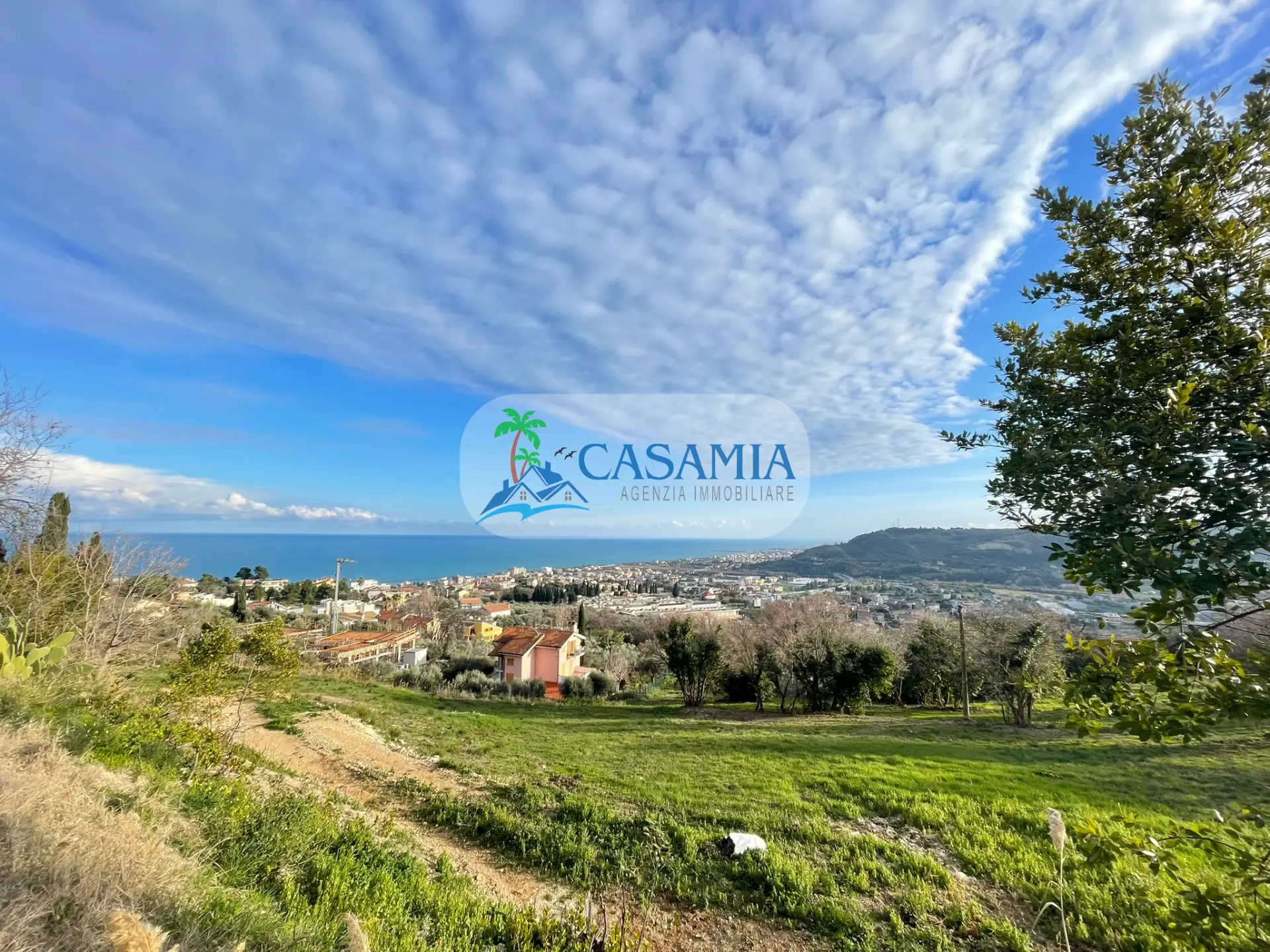 Immagine per Industriale in vendita a Grottammare strada Provinciale Cuprense 89