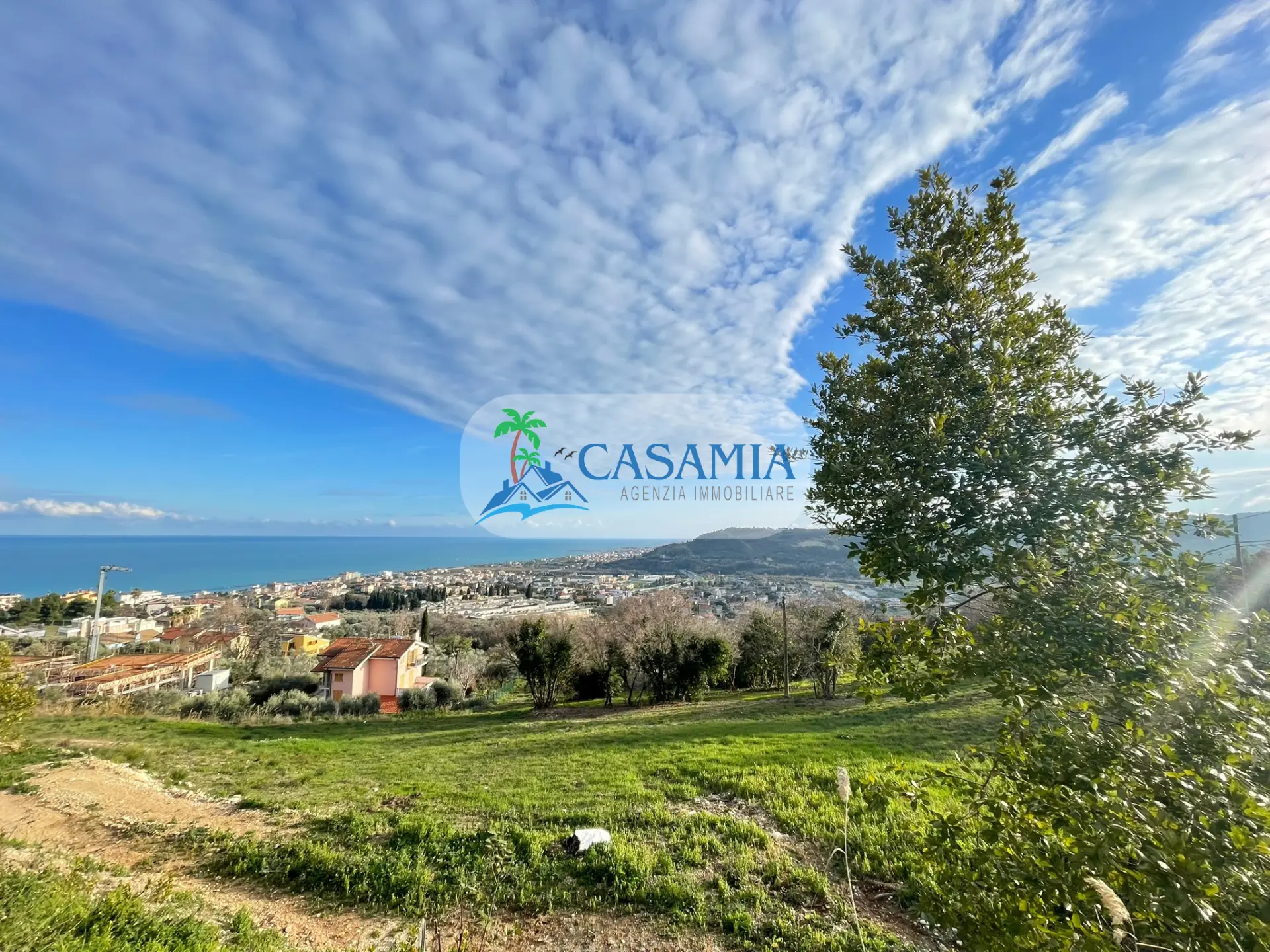 Immagine per Industriale in vendita a Grottammare strada Provinciale Cuprense 89