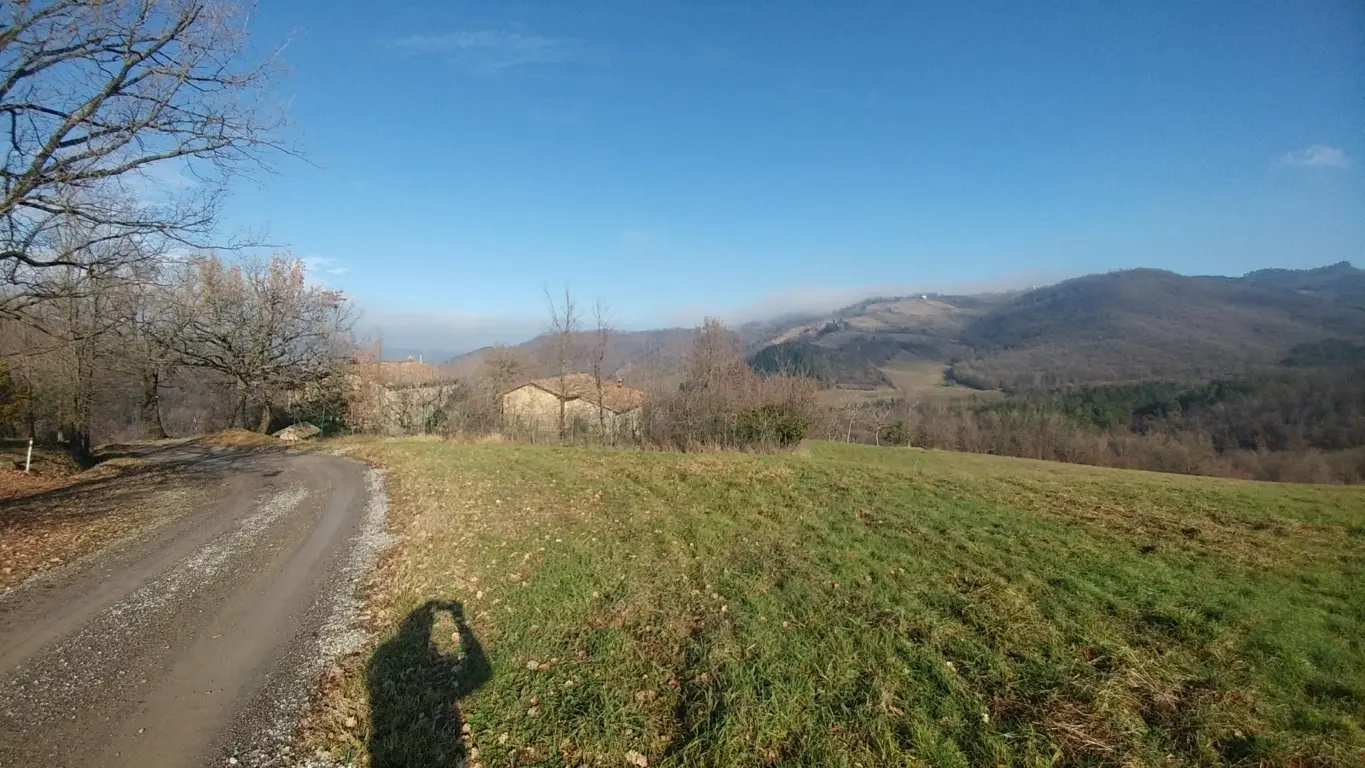 Immagine per Rustico in vendita a Valsamoggia via Della Pace 20