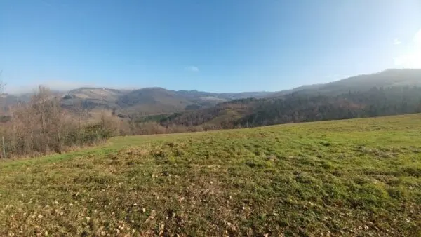 Rustico via Della Pace 20, Valsamoggia