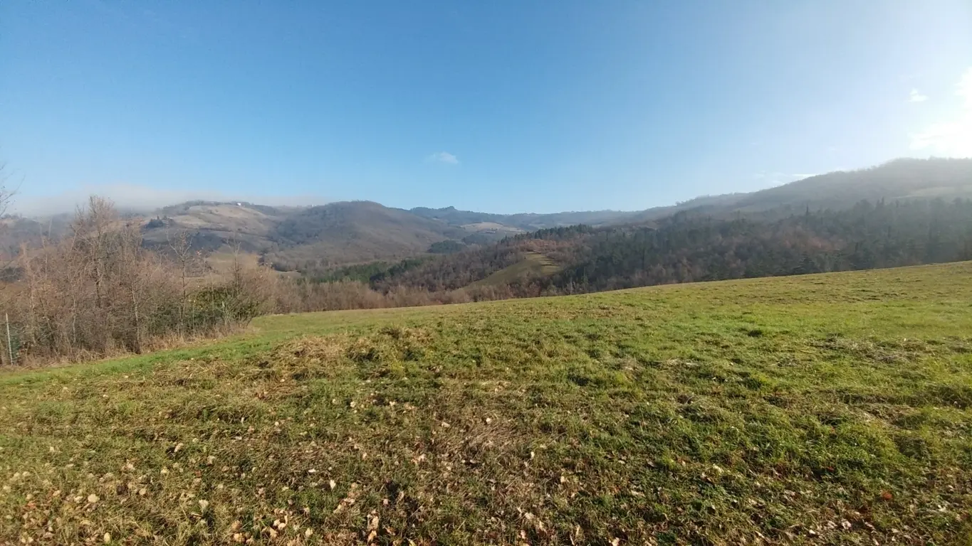 Immagine per Rustico in vendita a Valsamoggia via Della Pace 20