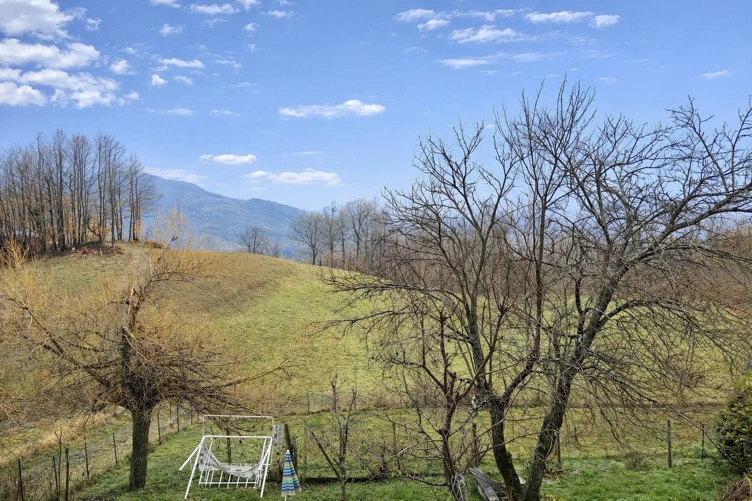 Immagine per Terratetto in vendita a San Benedetto Val di Sambro via La Torre