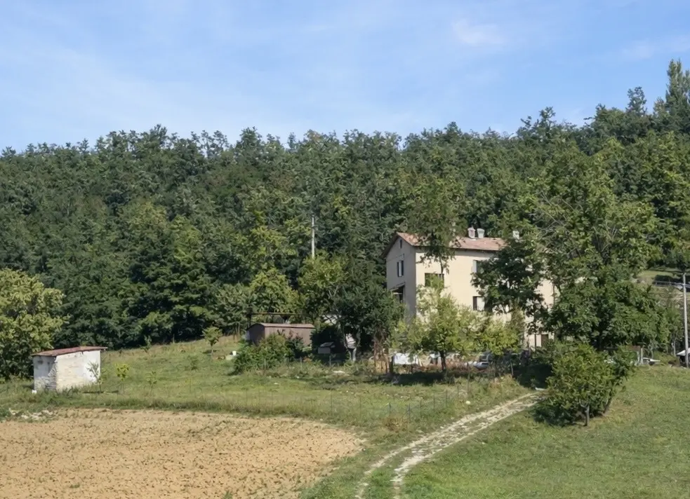 Immagine per Terratetto in vendita a San Benedetto Val di Sambro via La Torre